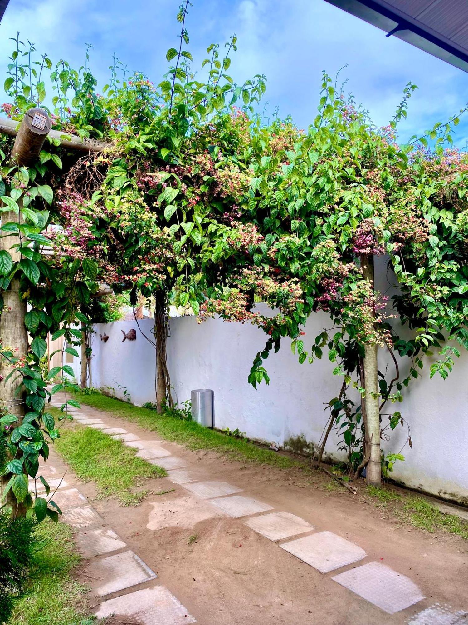 Pousada Paraiso Dos Milagres São Miguel dos Milagres エクステリア 写真